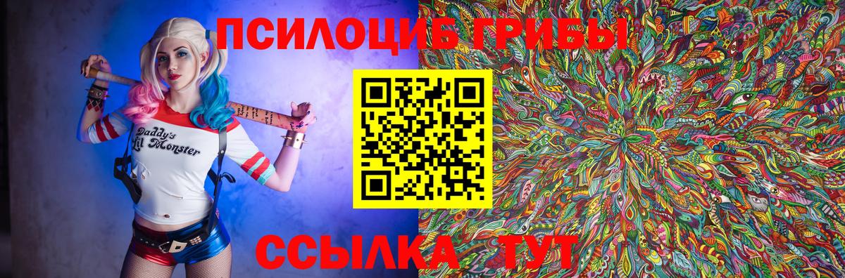 Псилоцибиновые грибы Psilocybe Верхняя Пышма
