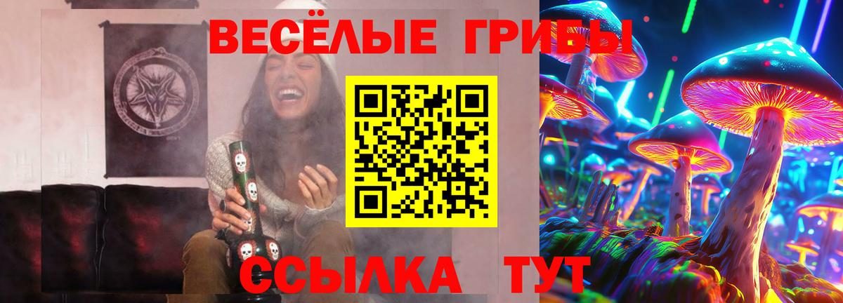 Галлюциногенные грибы Psilocybe  Вход с VPN  наркота  Верхняя Пышма 